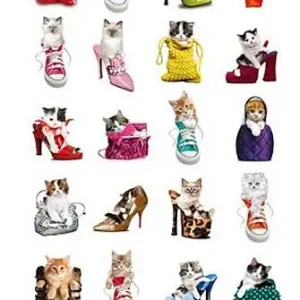 ! Super tilbud Poster/Plakat - 35 Keith Kimberlin Gatos/ Cats - 61x91,5 cm *Sale*[GPE4342] [8435107771225] | Hurtig afsendelse