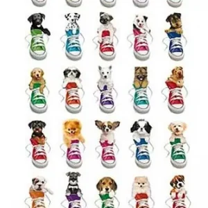 ! Super tilbud Poster/Plakat - Keith Kimberlin Perros/ Dogs - 61x91,5 cm *Sale*[GPE4341] [8435107771218] | Outlet