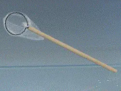 Lav pris | Fishing net