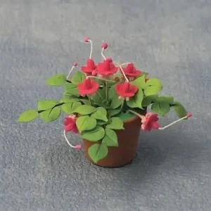 Fordelagtig pris | Fuchsia