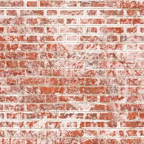 Premium kvalitet | Brick wallpaper Weathered / white brick Flemish bond