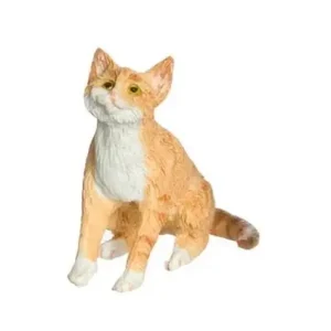 Cat - Favorit blandt kunder