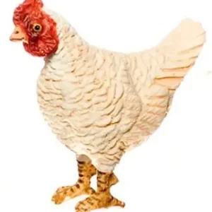 Hen, white | Netop kommet