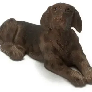 German Wirehaired Pointer - Nyhed i sortimentet