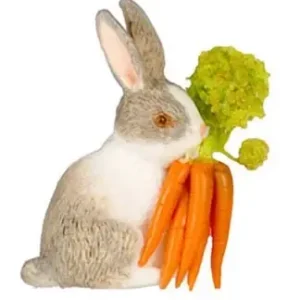 Rabbit with carrots | Nyt i shoppen