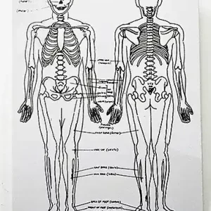 Superpris | Skeleton plan