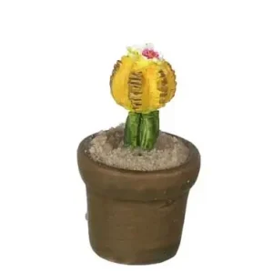 Cactus - Bestil online