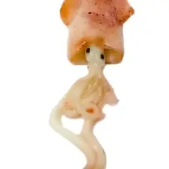 Bestil nu - Shape octopus