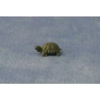 Fordelagtig pris - Turtle 2 pcs. plastic