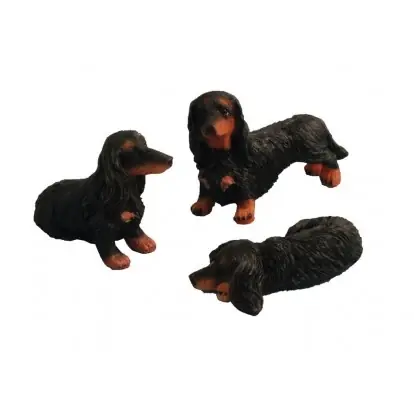 Topkvalitet | Black dachshund, long-haired per piece.