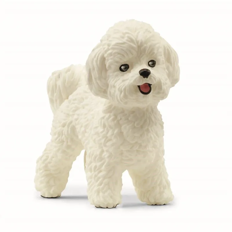Sidste chance - Schleich Bichon Frisé Hund