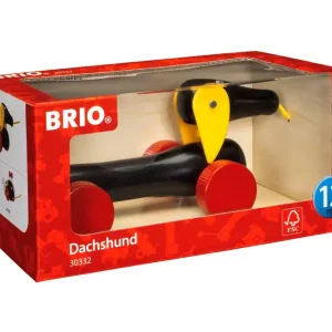 Dachsie hund | Bedst sælgende