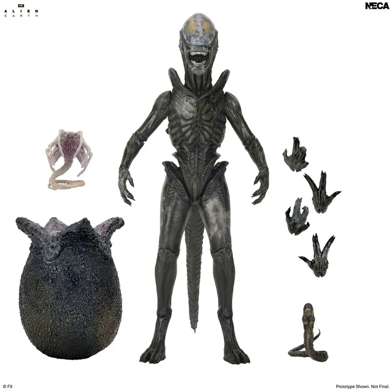 ALIEN EARTH - Wendy Xenomorph - Figure Ultimate 17cm | Kun i begrænset tid