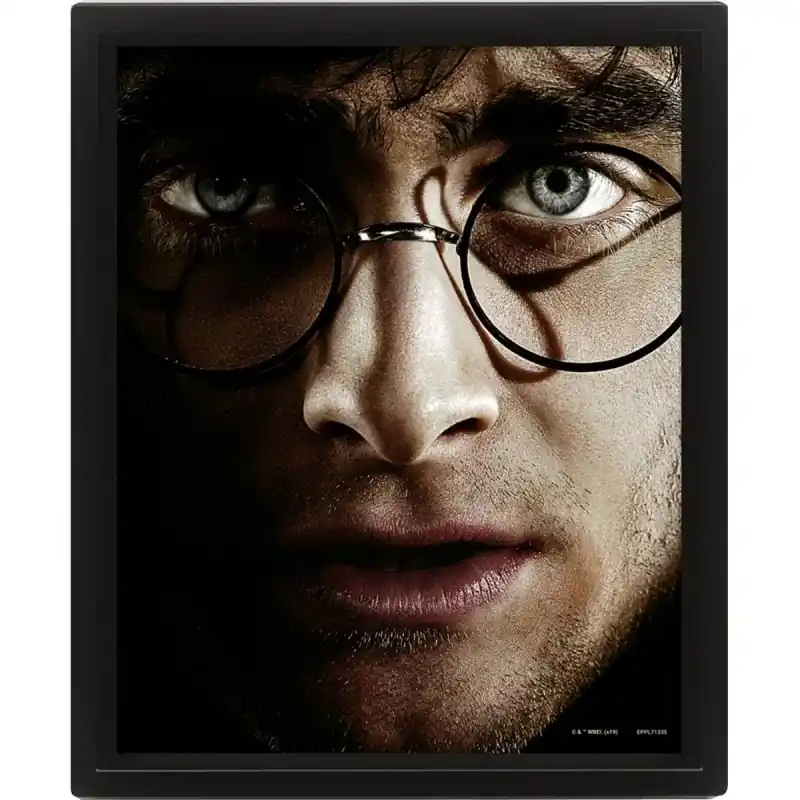 Bedste pris | HARRY POTTER - Harry vs Voldemort - 3D Lenticular Poster 26x20cm