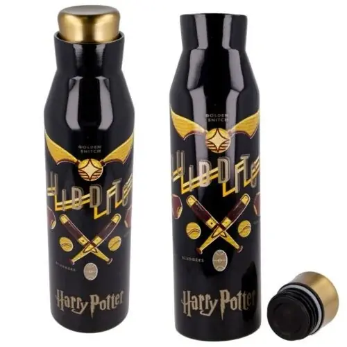 HARRY POTTER - Quidditch - Diabolo Stainless Steel Bottle - 20oz | Fordelagtig pris